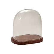 Glass Cloche w/ Wooden Base